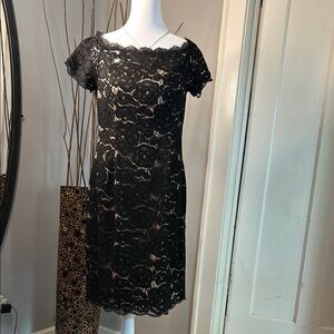 Adrianna Papell Black Tan Off-Shoulder Flutter Sleeve Mini Dress